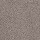 Tuftex: Sumptuous I Heritage Taupe